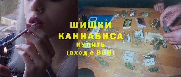 прущие грибы Ельня