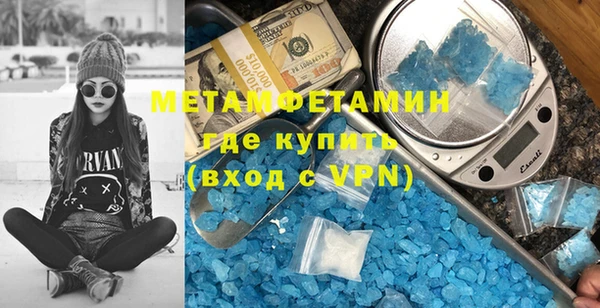 прущие грибы Ельня