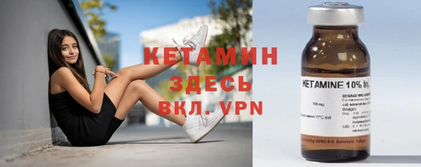 прущие грибы Ельня