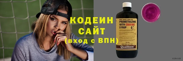 прущие грибы Ельня