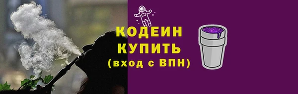 прущие грибы Ельня