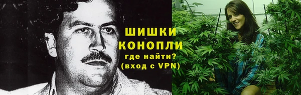 соль ск Дмитров