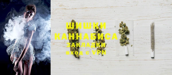 соль ск Дмитров