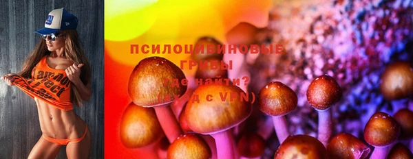 СК Дмитриев